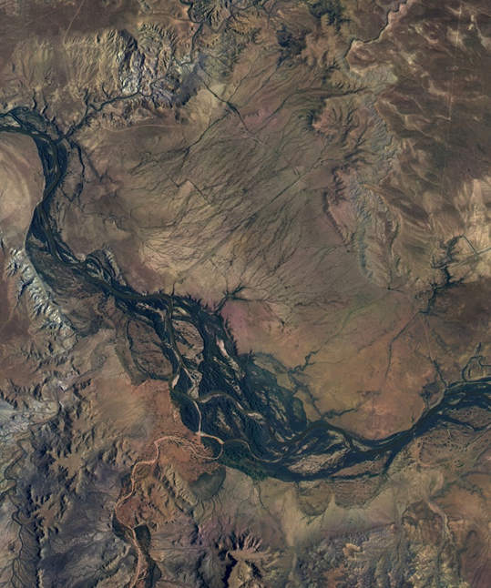 Aerial view now of Area 7 crops