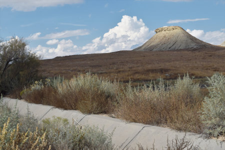 Area 7 irrigation image 3