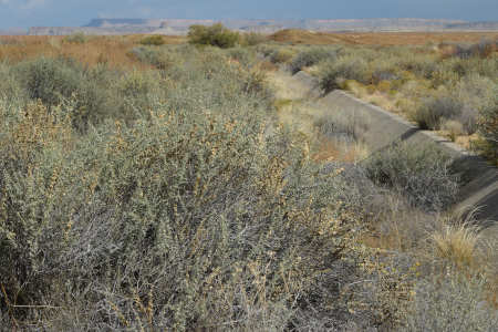 Area 7 irrigation image 2