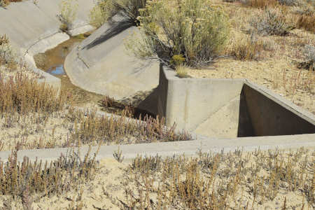 Area 7 irrigation image 1